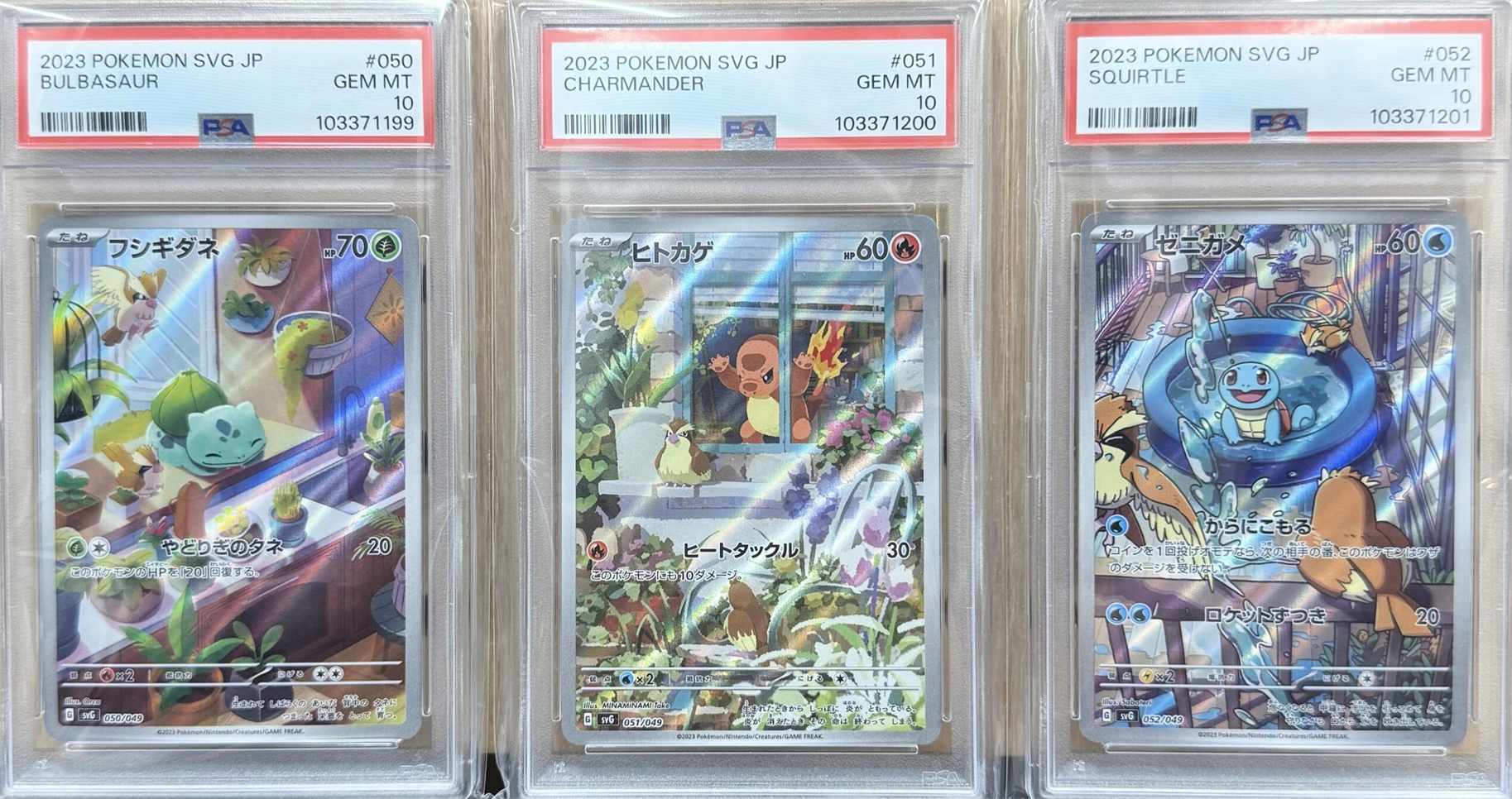PSA 10 Graded Cards